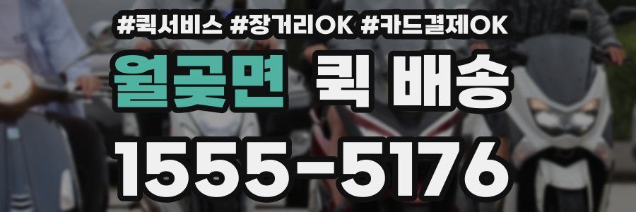 월곶면 퀵 배송