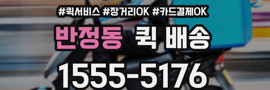 반정동 퀵 배송