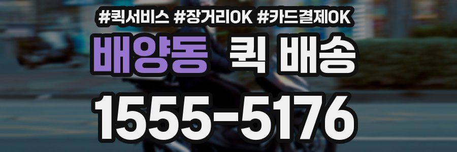 배양동 퀵 배송