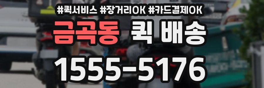 금곡동 퀵 배송