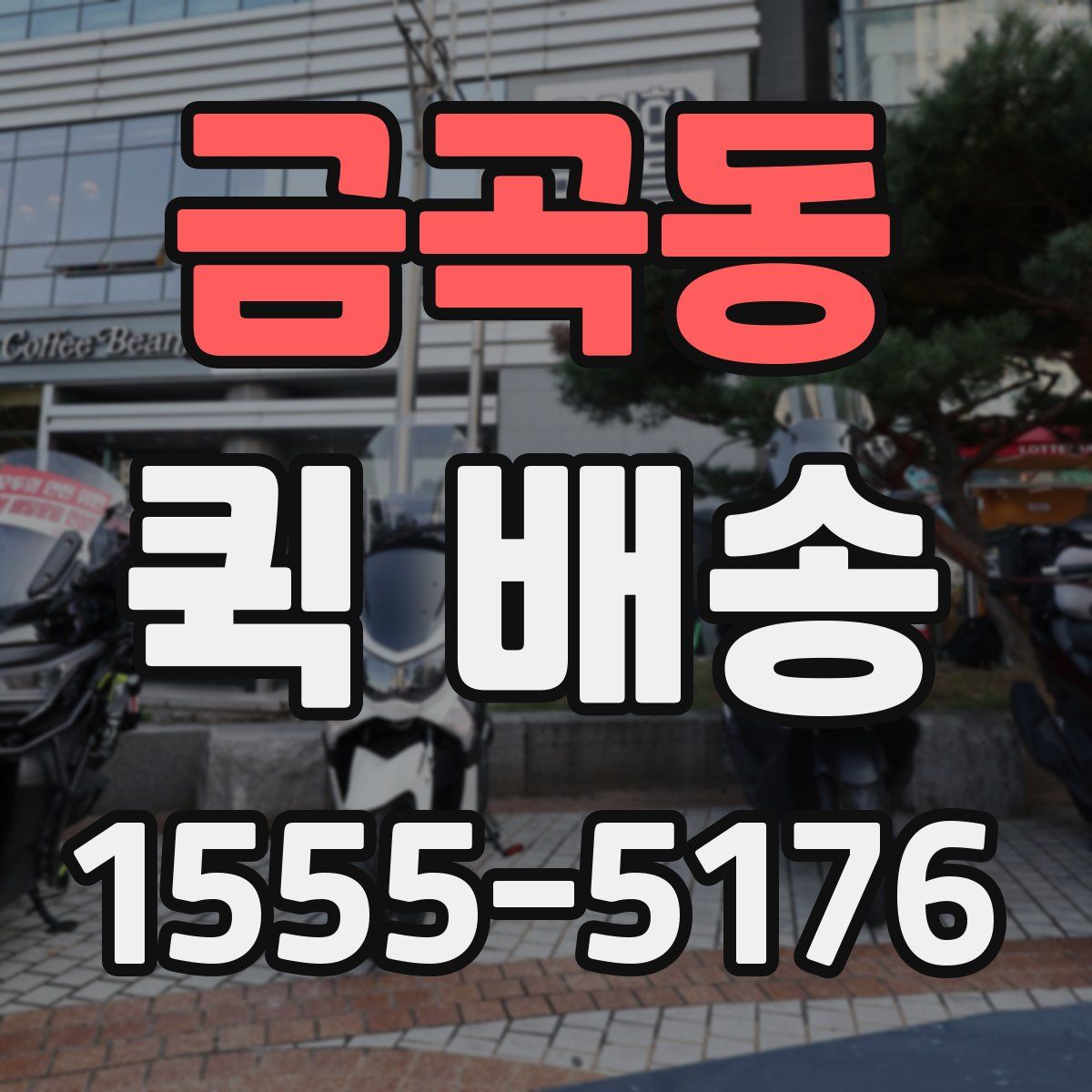 금곡동 퀵 배송