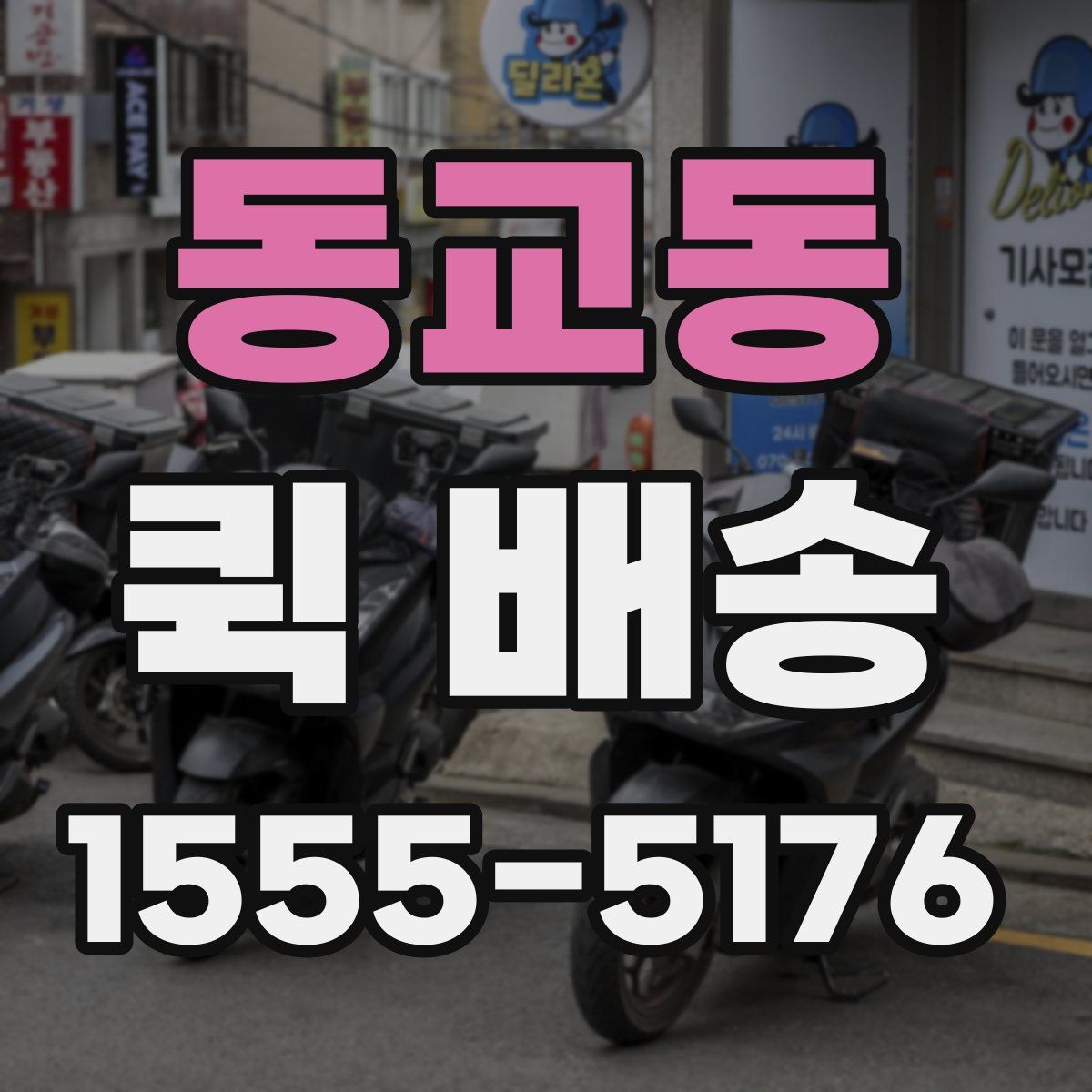 동교동 퀵 배송