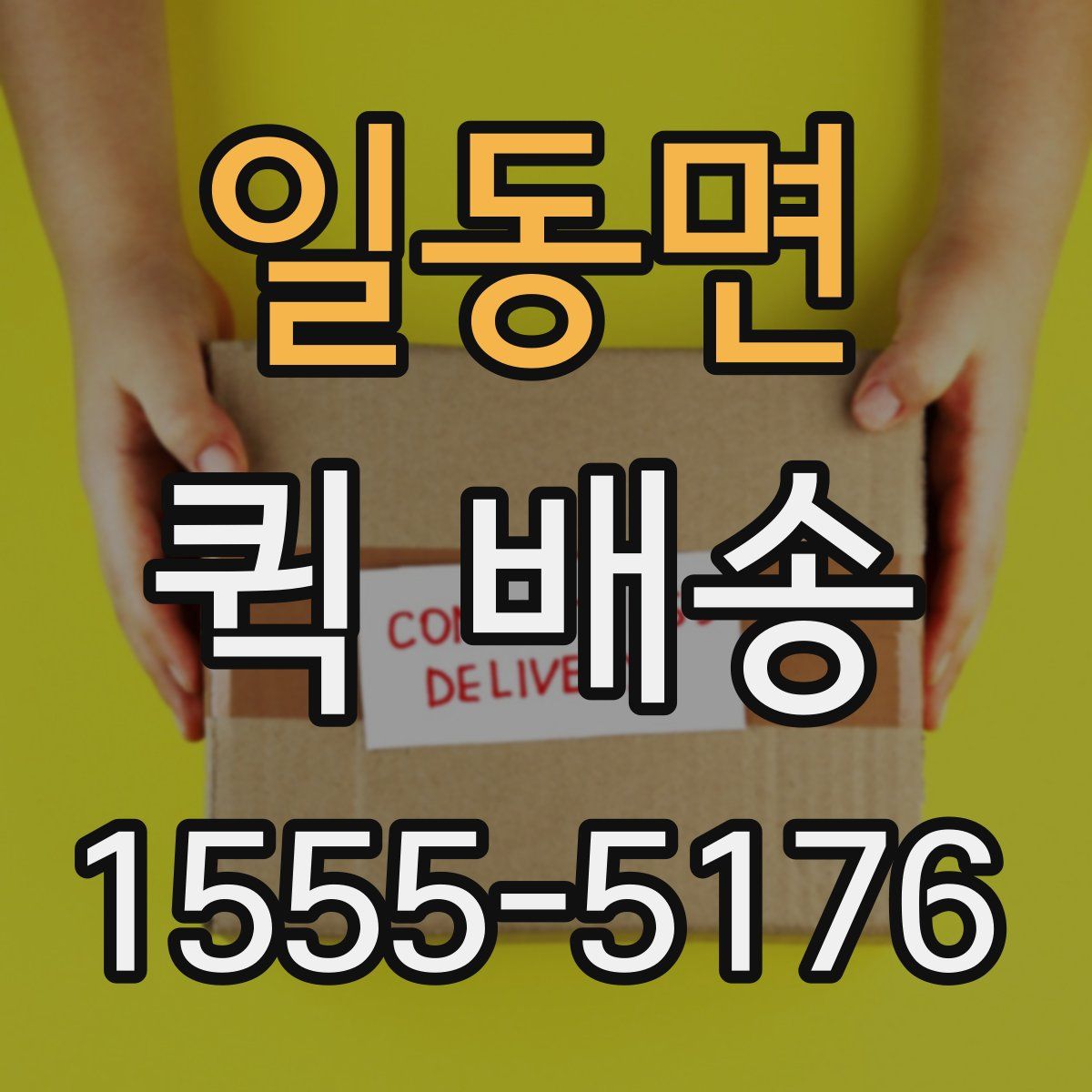 일동면 퀵 배송
