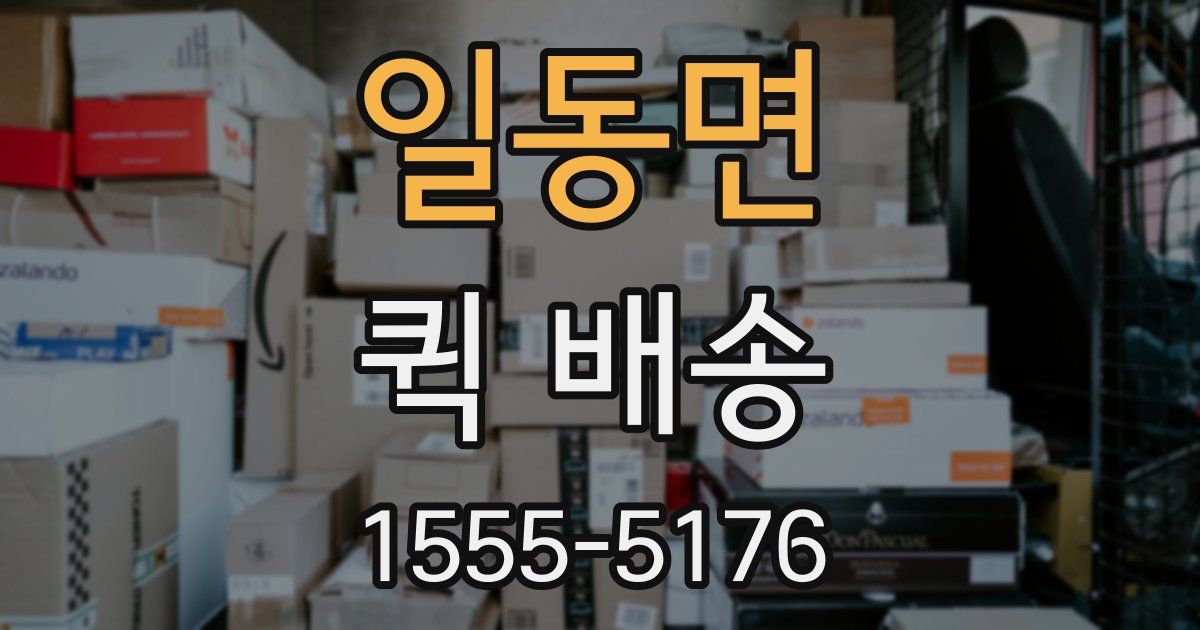 일동면 퀵 배송
