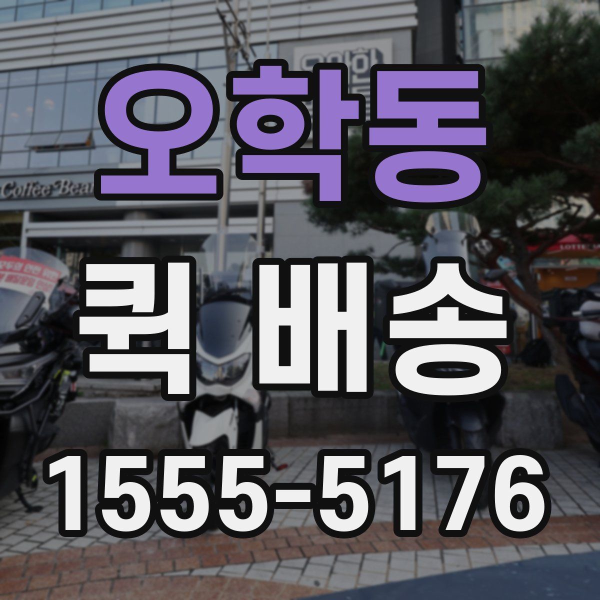오학동 퀵 배송