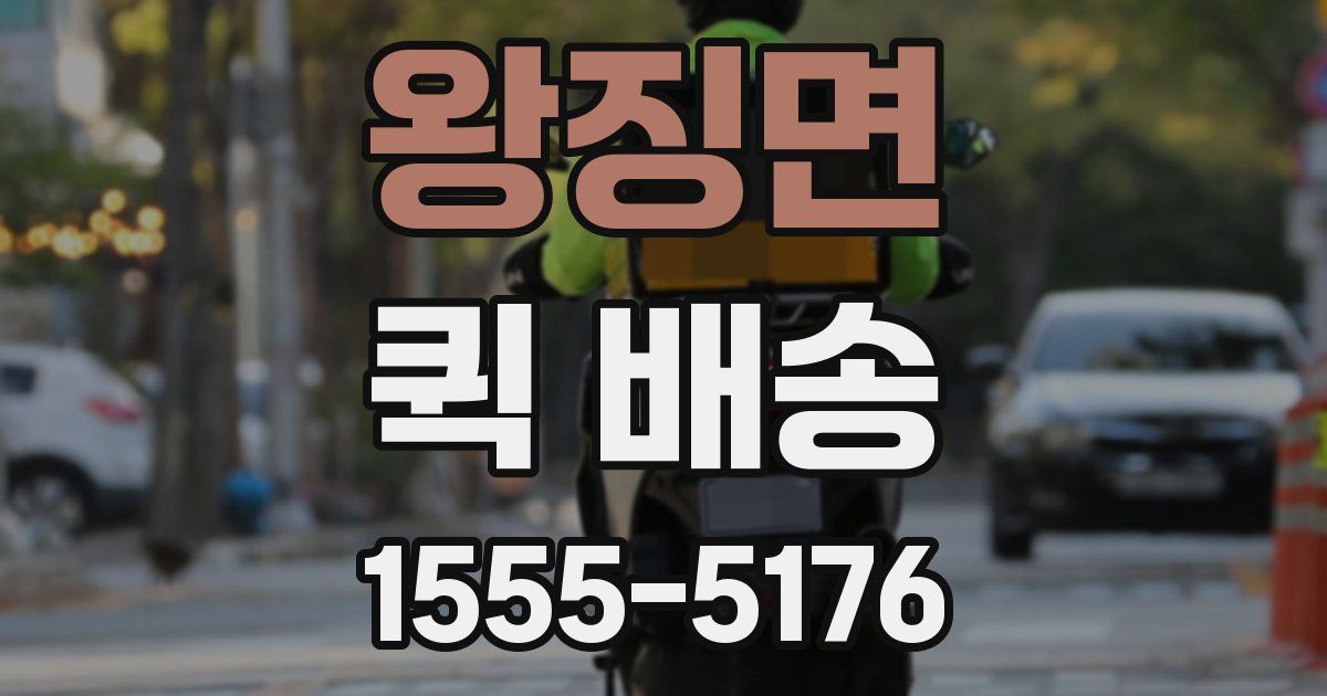 왕징면 퀵 배송