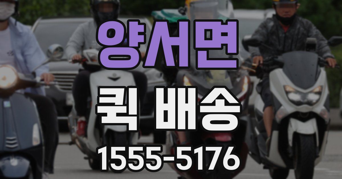 양서면 퀵 배송
