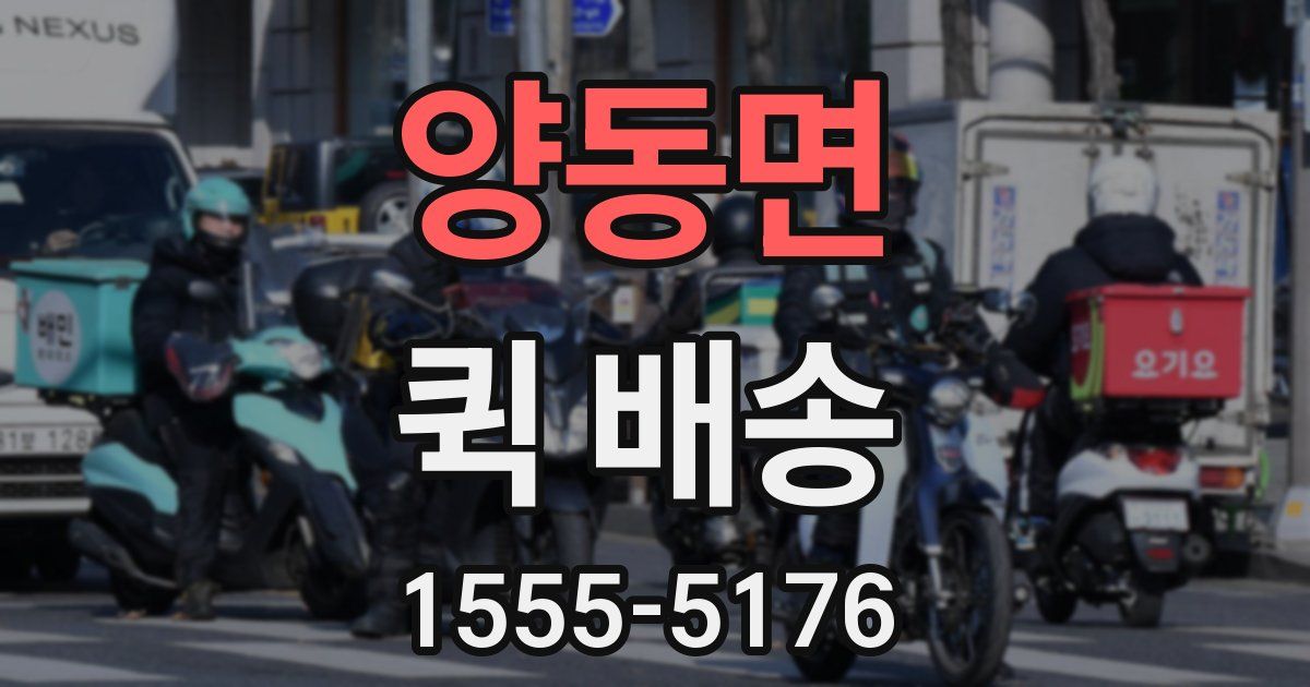 양동면 퀵 배송