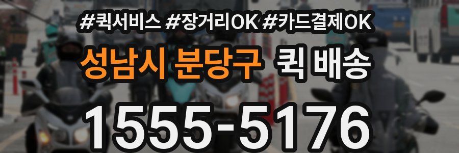 성남시 분당구 퀵 배송