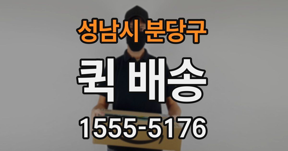 성남시 분당구 퀵 배송