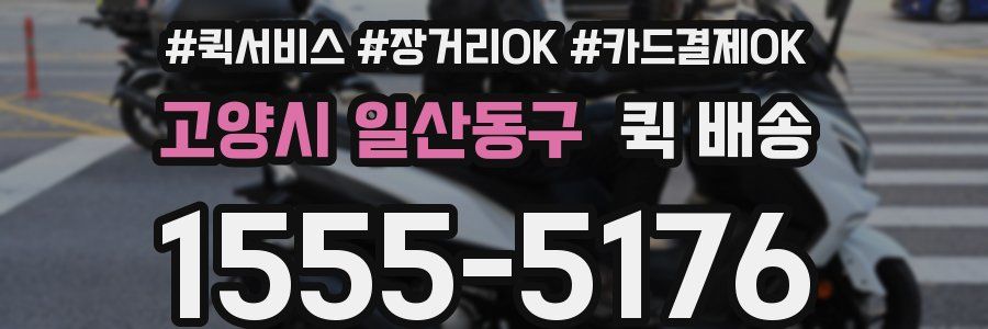 고양시 일산동구 퀵 배송