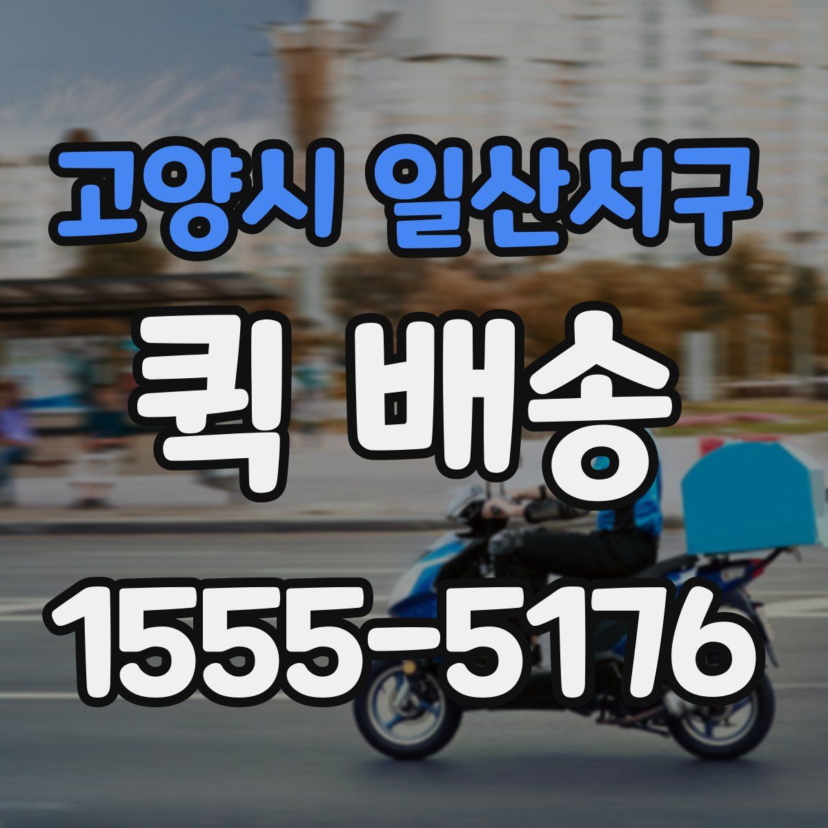 고양시 일산서구 퀵 배송