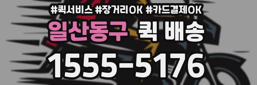 일산동구 퀵 배송