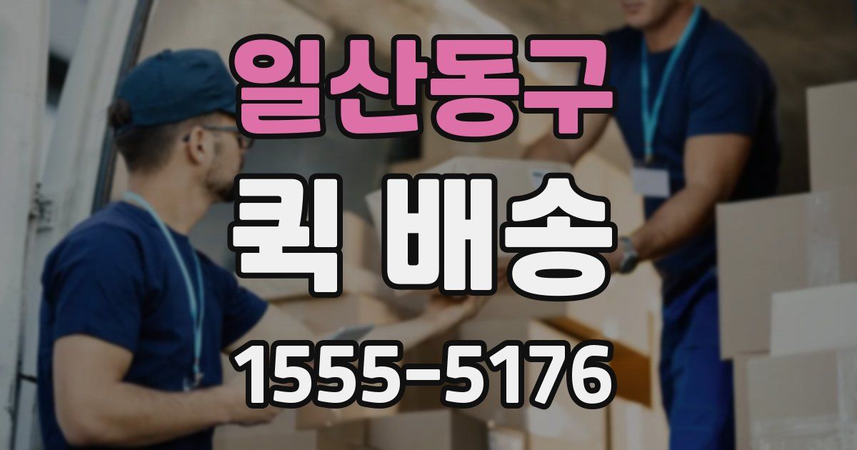일산동구 퀵 배송