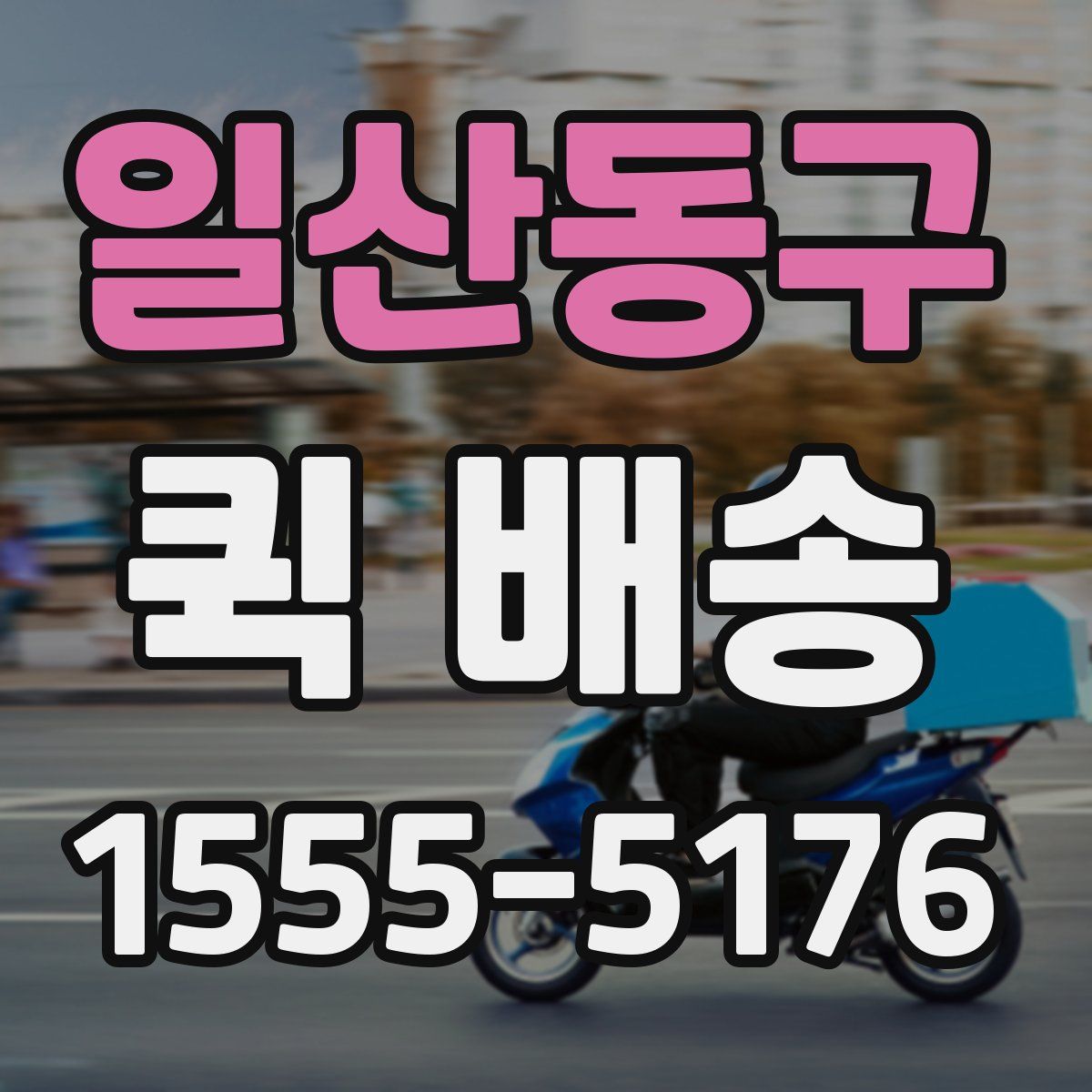 일산동구 퀵 배송