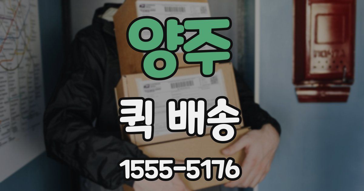 양주 퀵 배송