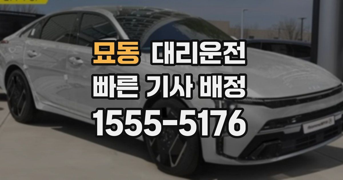 일일대리기사