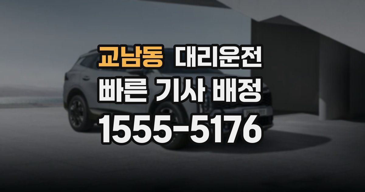 일일대리기사