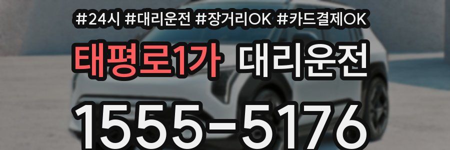 태평로1가 대리운전