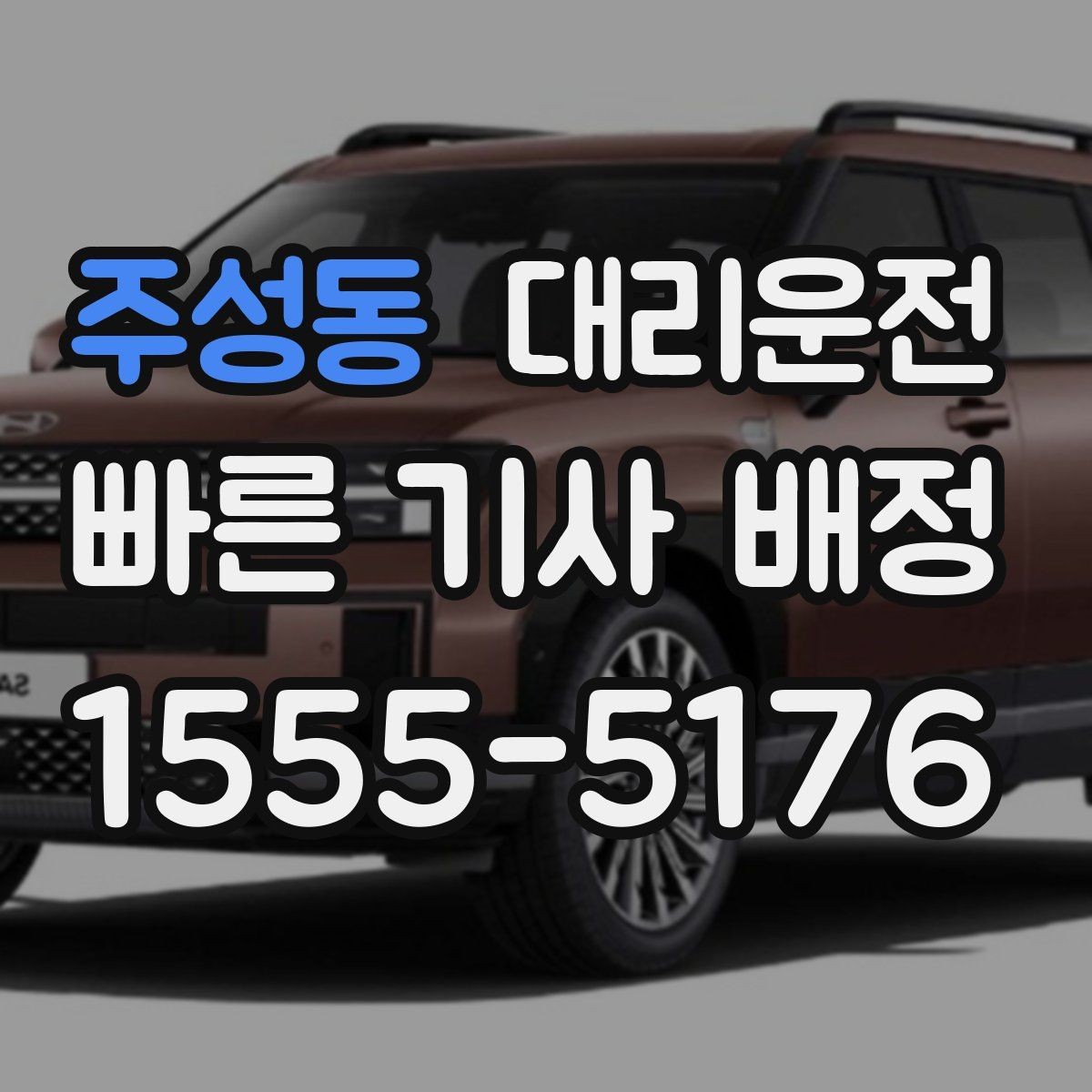 주성동 대리운전 특수 일정 장시간 동행 가능