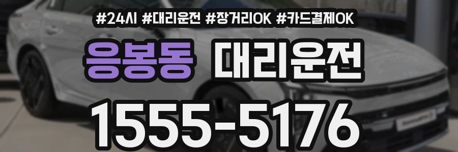 응봉동 대리운전