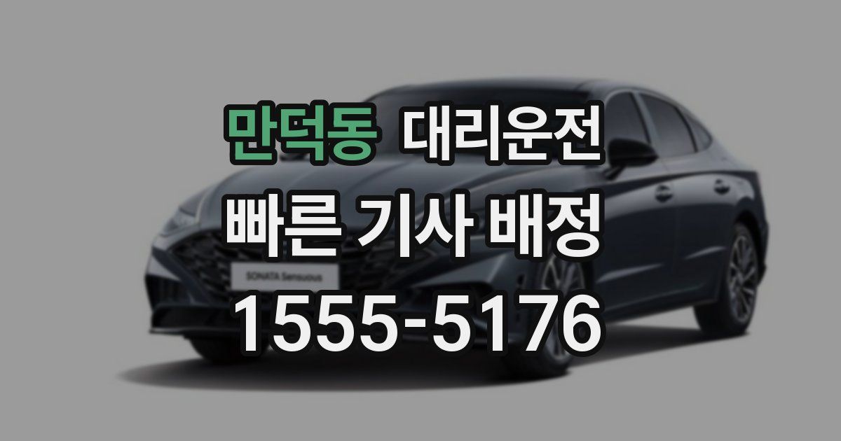 일일대리기사
