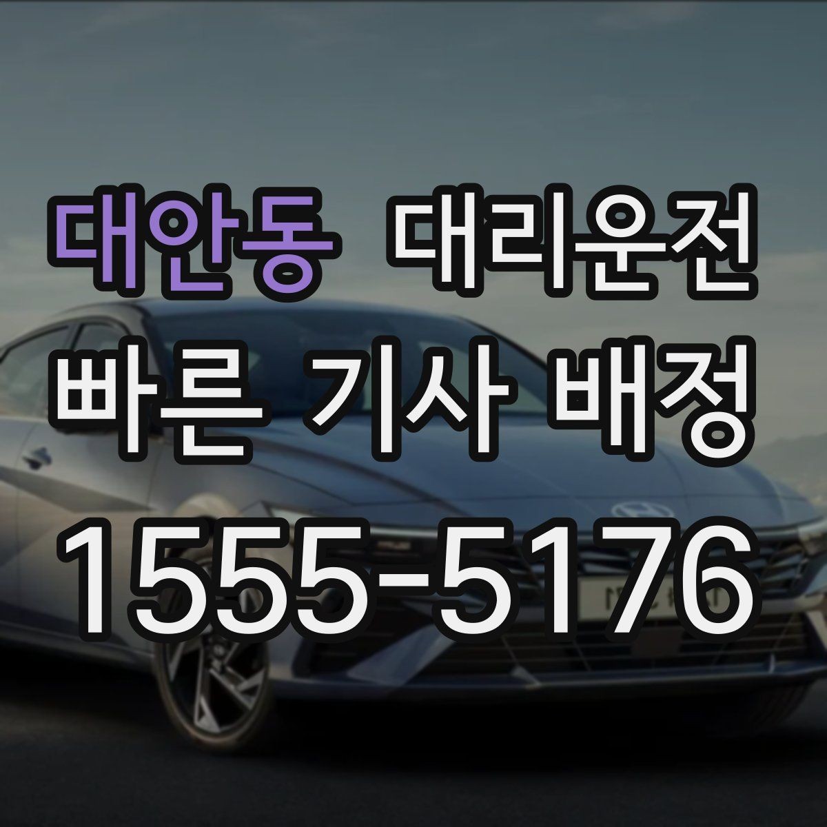 대안동 대리운전 반려동물 이동도 안전 벨트 안내