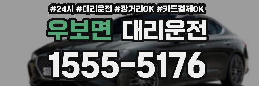 우보면 대리운전