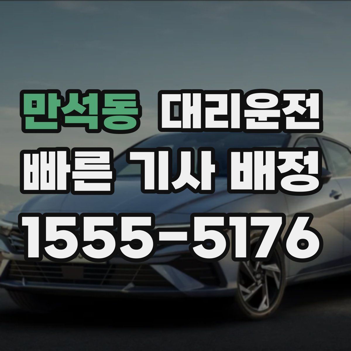 만석동 대리운전 반려동물 동승 시 안전하게 케어