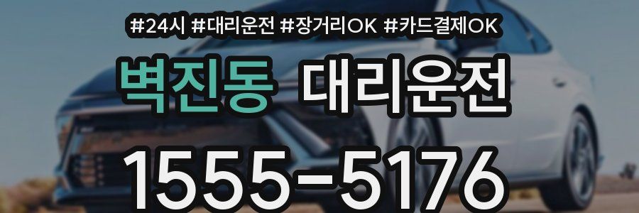 벽진동 대리운전