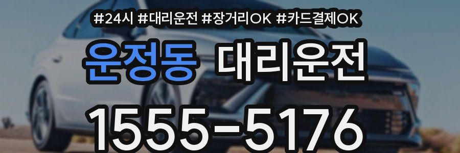 운정동 대리운전