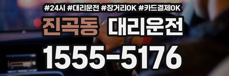 진곡동 대리운전