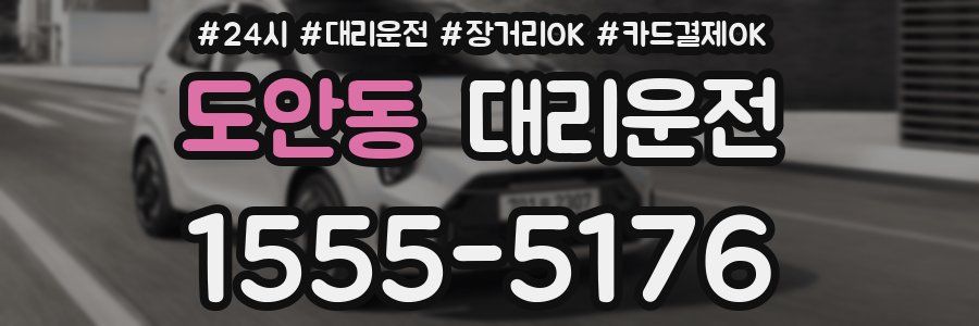 도안동 대리운전