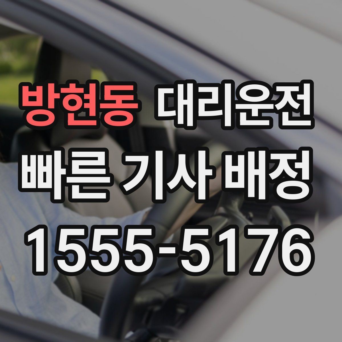 방현동 대리운전 반려동물 이동도 안전 벨트 안내