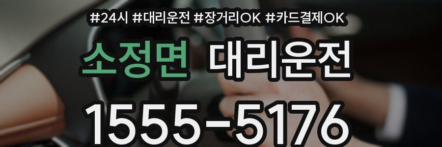 소정면 대리운전