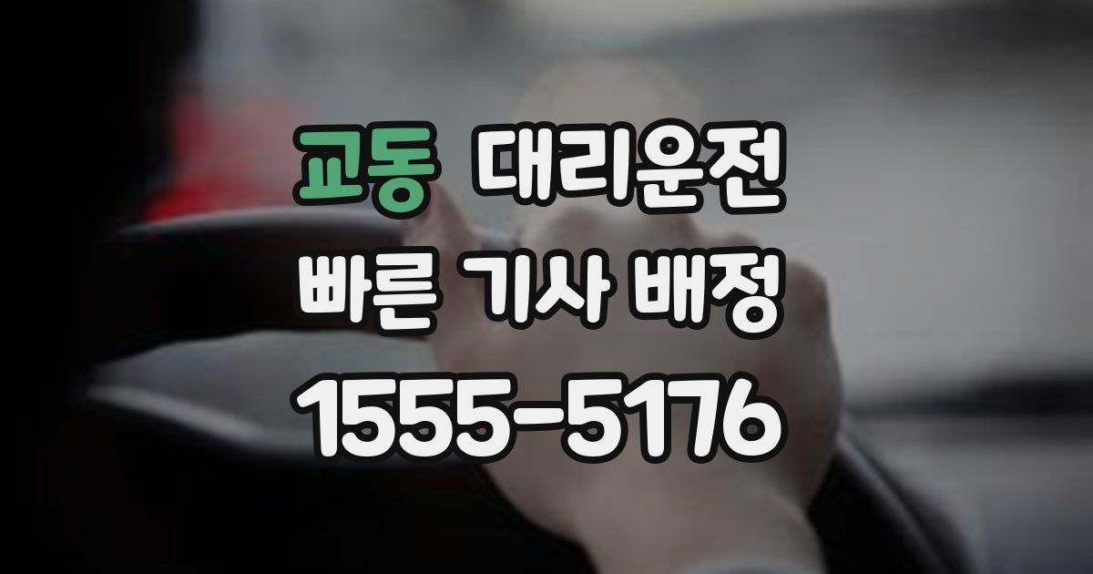 일일대리기사