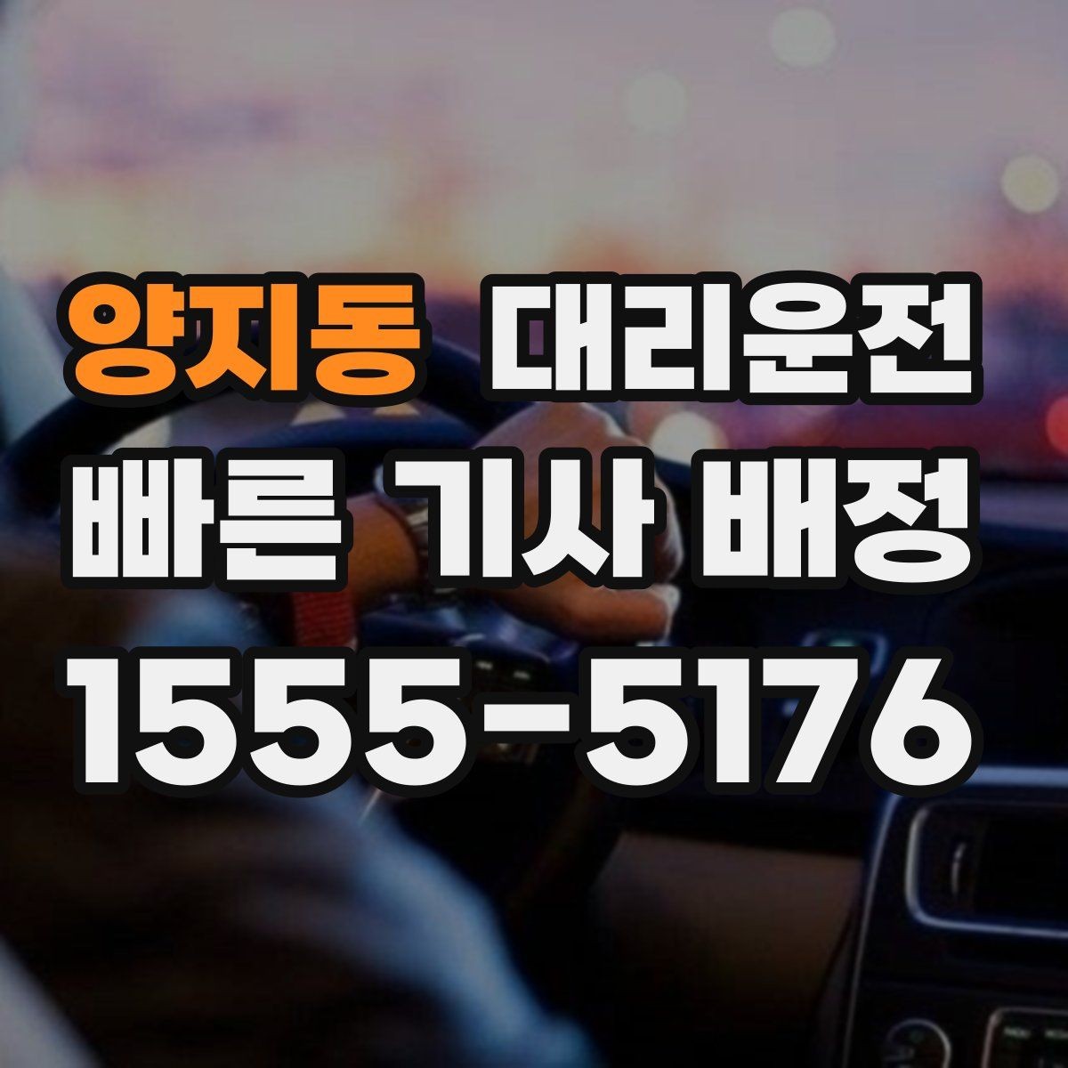 양지동 대리운전 단골 지정 기사 요청