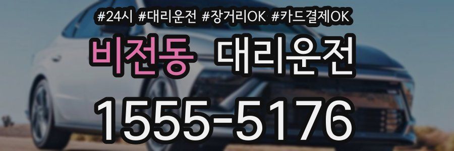비전동 대리운전