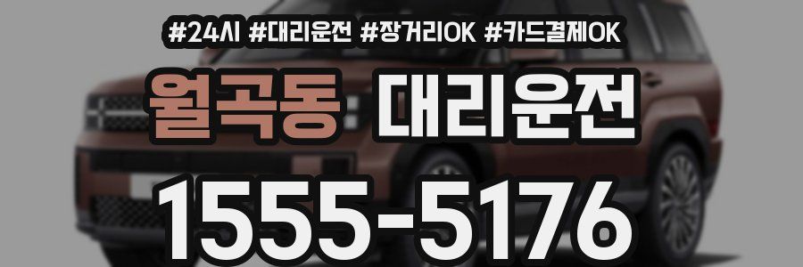 월곡동 대리운전