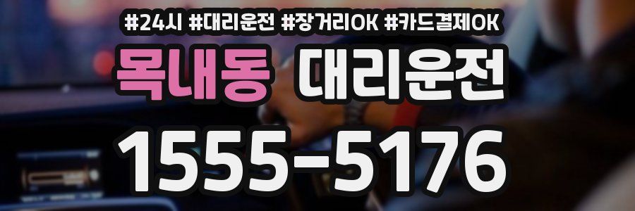 목내동 대리운전