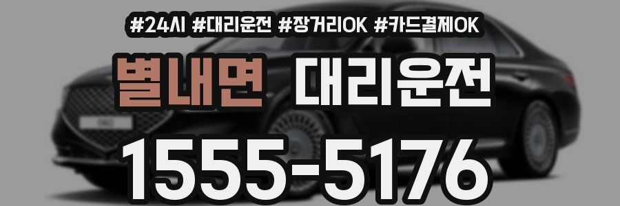 별내면 대리운전