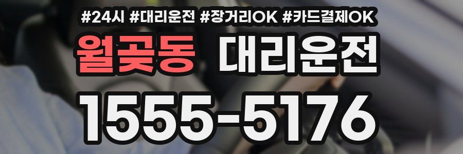 월곶동 대리운전