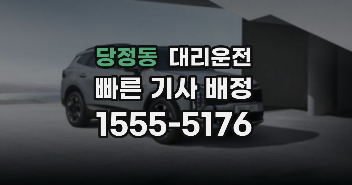 일일대리기사