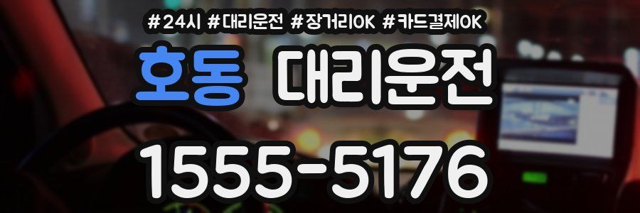 호동 대리운전