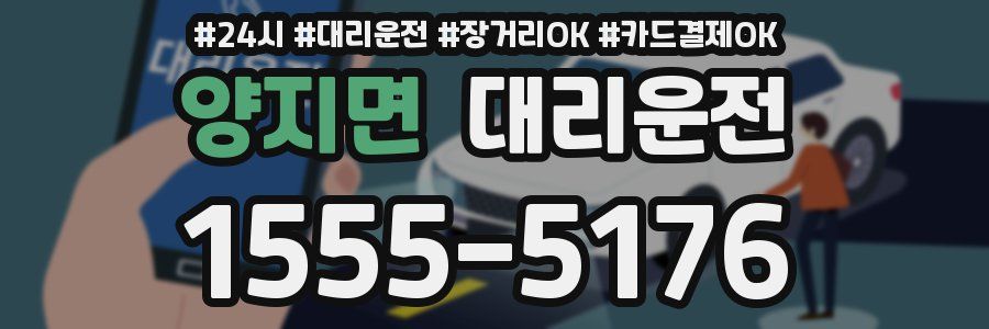 양지면 대리운전