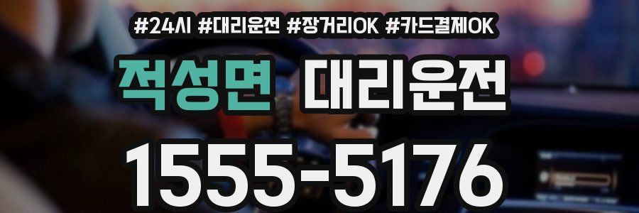 적성면 대리운전