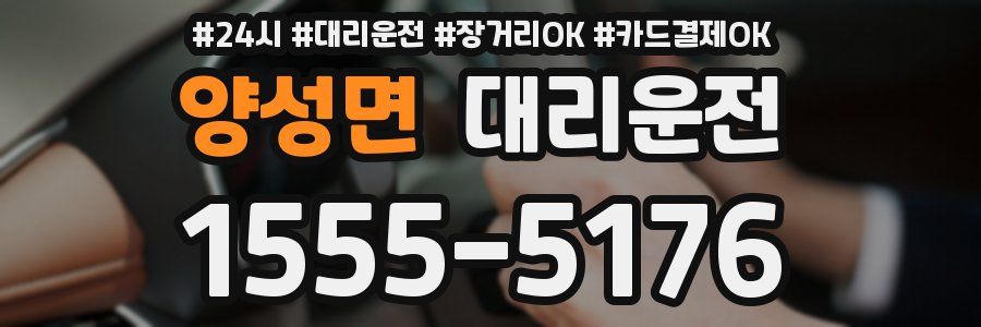 양성면 대리운전
