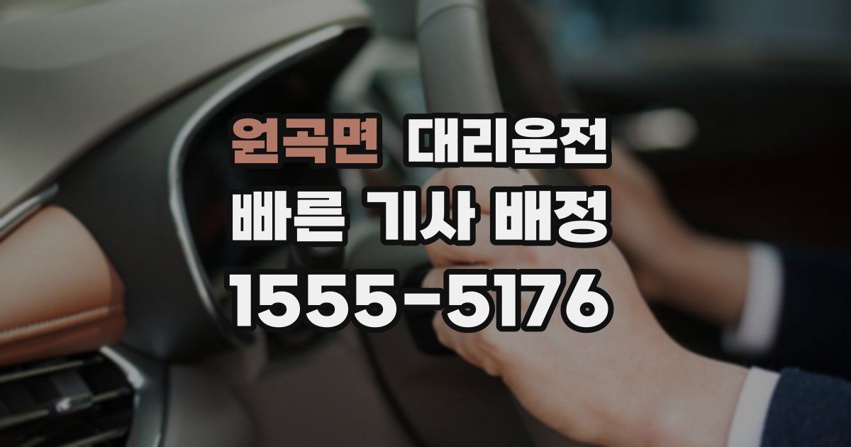 일일대리기사