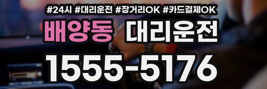 배양동 대리운전