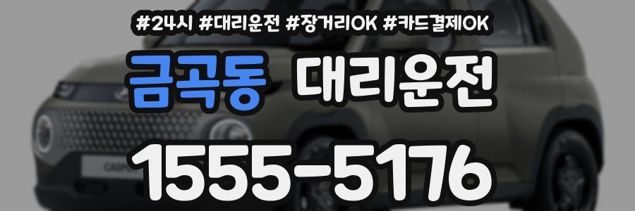 금곡동 대리운전